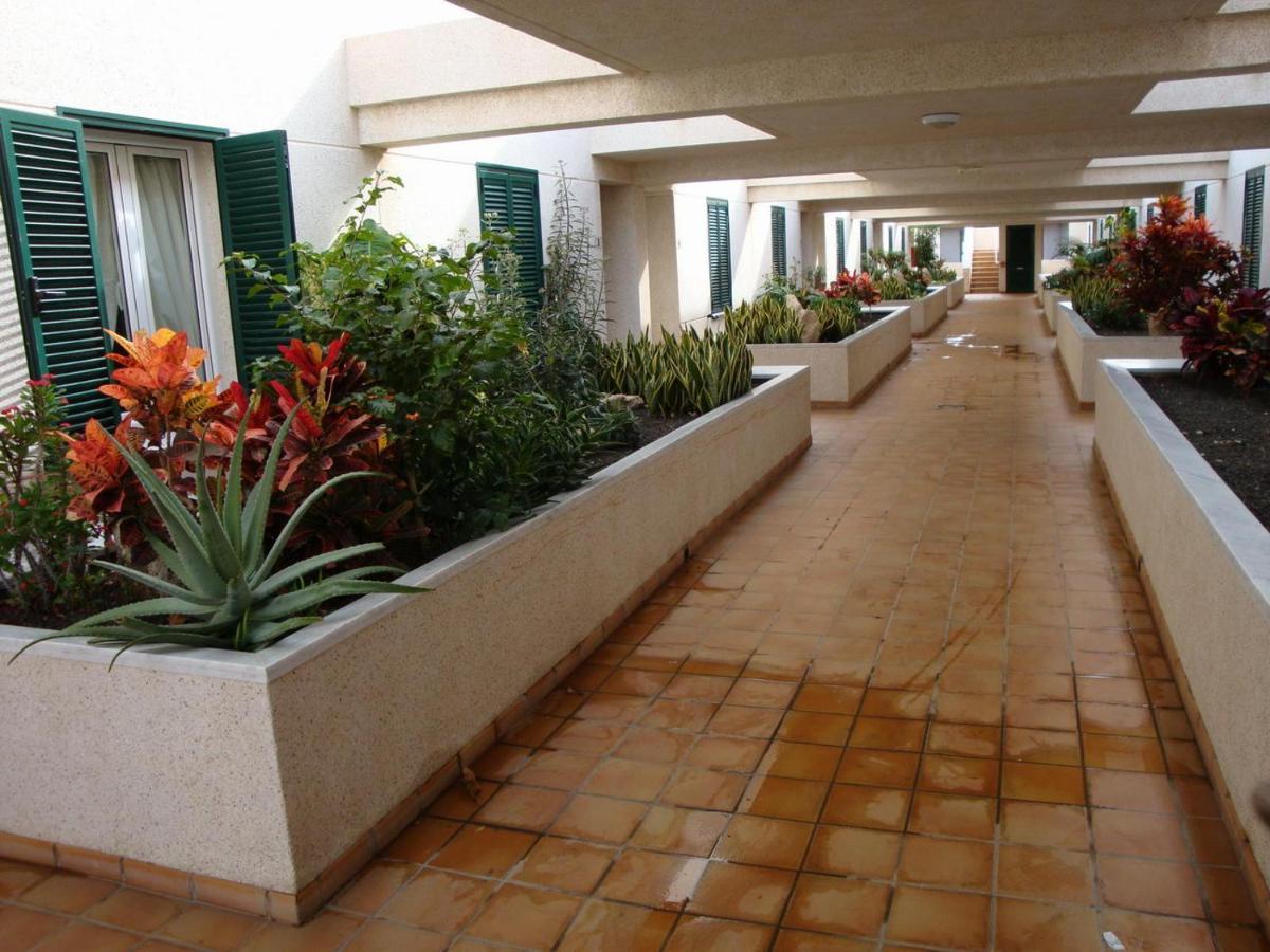 Apartamento Con Jardin Y Piscina En El Balancon El Médano Exterior photo