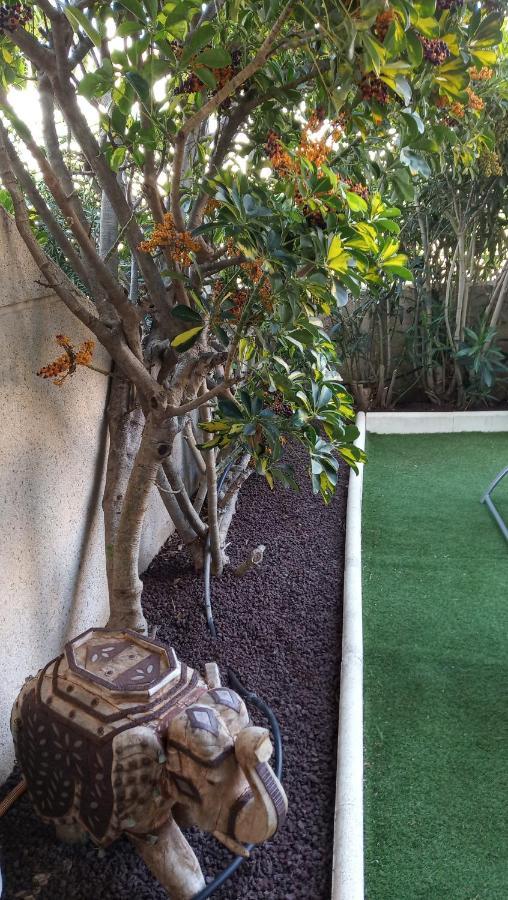 Apartamento Con Jardin Y Piscina En El Balancon El Médano Exterior photo